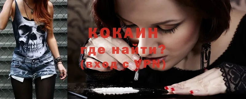 Cocaine Fish Scale  МЕГА онион  Купино  сайты даркнета наркотические препараты  закладка 